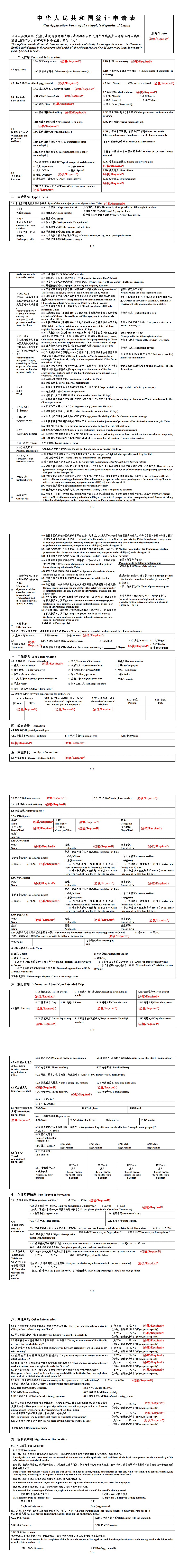 China visa application form sample preview